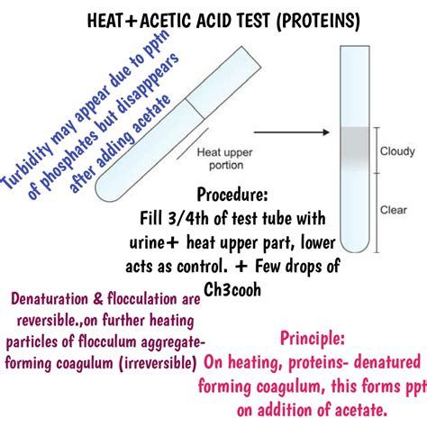 heat and acetic acid test|Heat and Acetic Acid Test Flashcards .